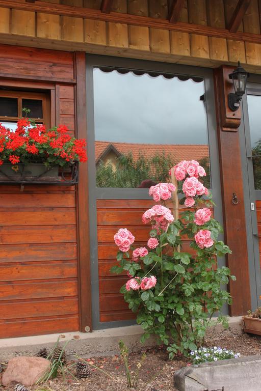 La Maison De Vacances Nothalten Oda fotoğraf